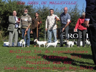 des Gres de Malleville - Nationale D'élevage 2010