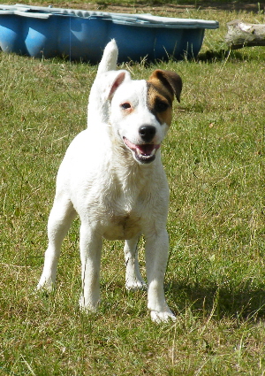 Elite des Gres de Malleville