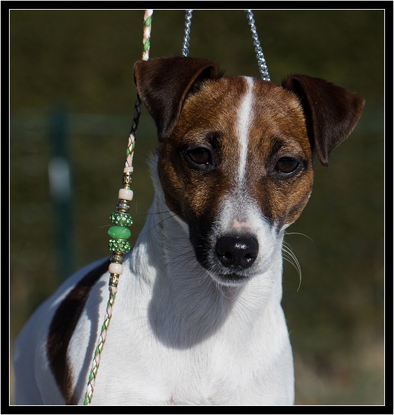 Hazeida des Gres de Malleville