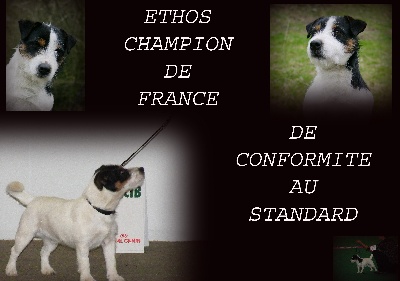 des Gres de Malleville - ETHOS "CHAMPION"