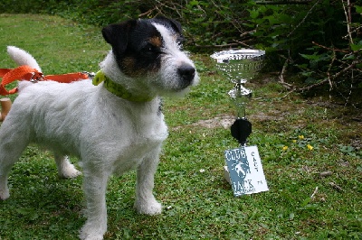 des Gres de Malleville - ORIGINAL MASTER'S VOICE ETHOS